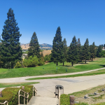 ContraCostaLive.com SPOTLIGHT newsletter, July 9, 2025